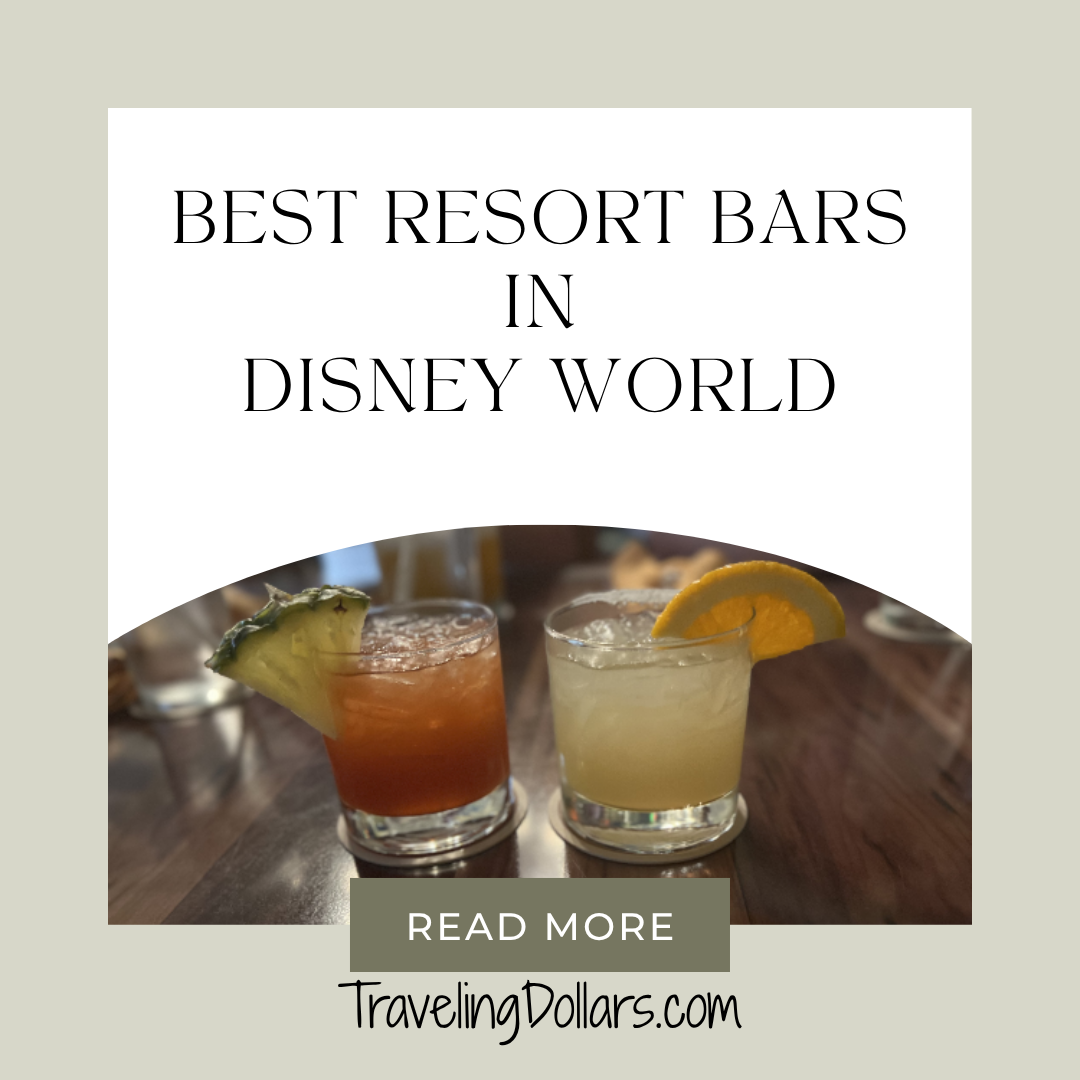 The Best Bars at Walt Disney World Resorts