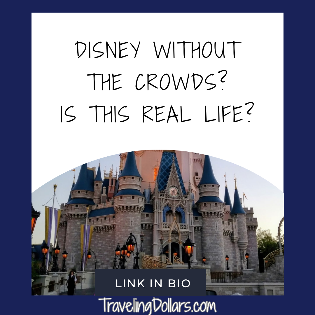 Disney Without the Crowds? Is This Real Life?
